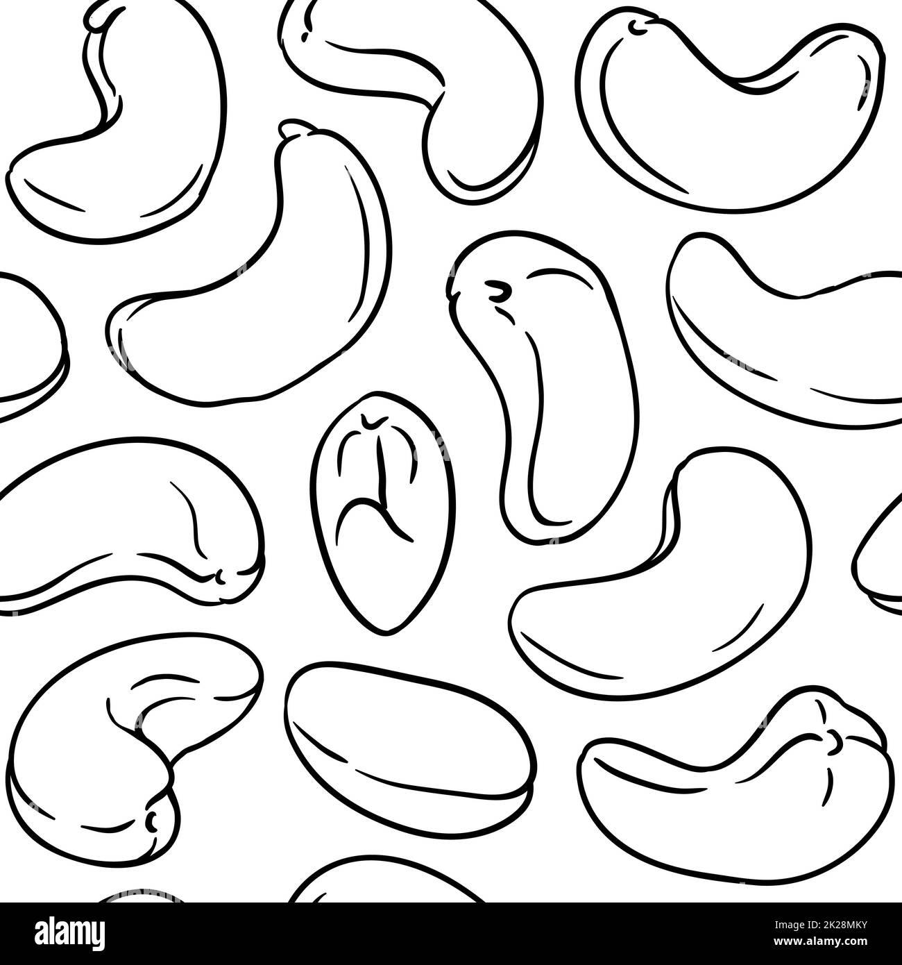 motif vectoriel noix de cajou sur fond blanc Banque D'Images