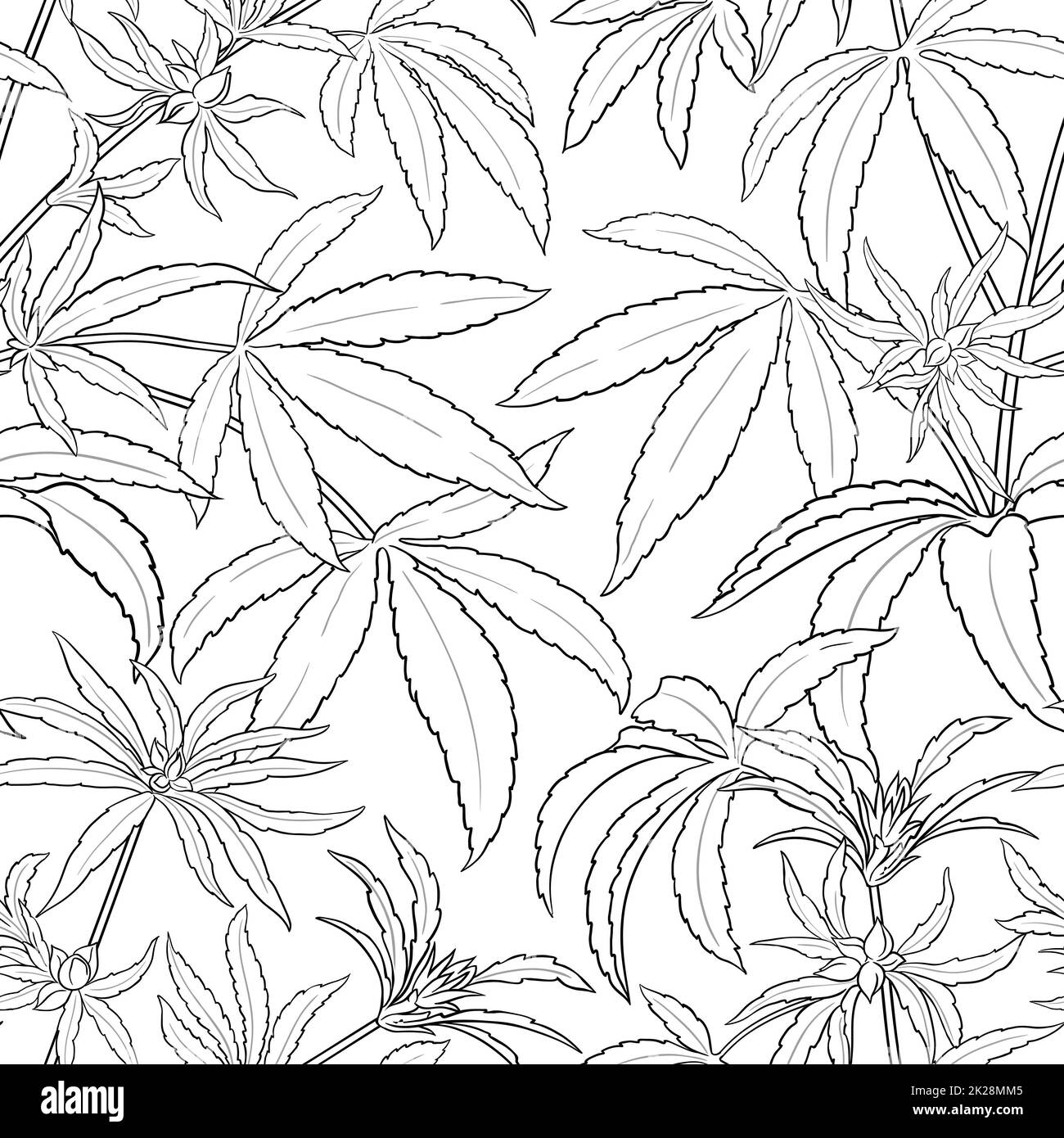 motif de vecteur de plante de chanvre sur fond blanc Banque D'Images