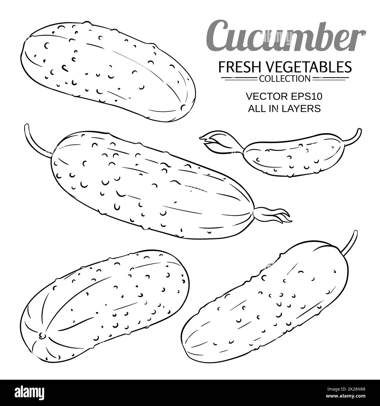 ensemble de légumes au concombre sur fond blanc Banque D'Images