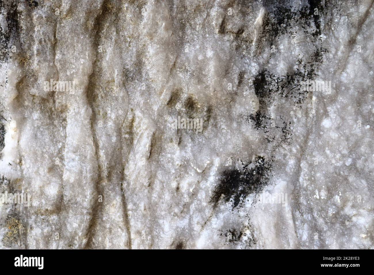 Vue rapprochée sur un mur de calcaire naturel dans les montagnes. Banque D'Images