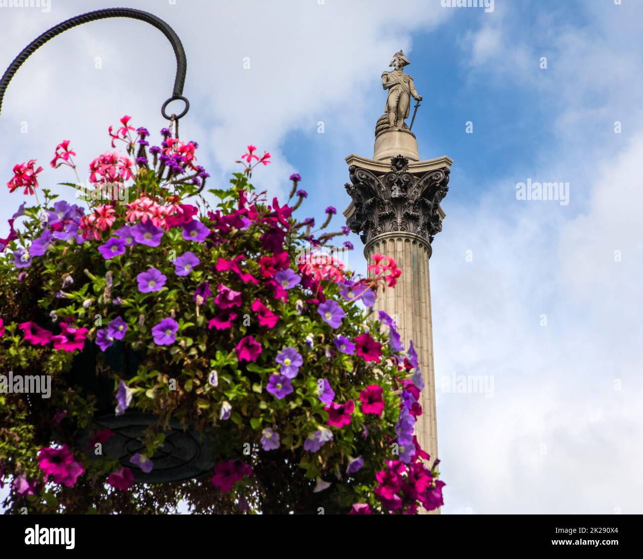 Vue sur la magnifique colonne de Nelsons, à Trafalgar Square, Londres, Royaume-Uni. Banque D'Images