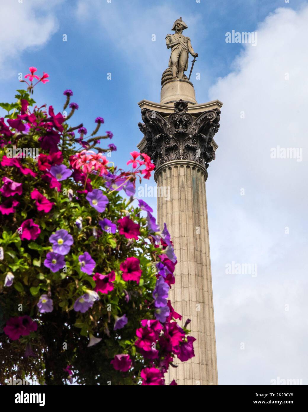 Vue sur la magnifique colonne de Nelsons, à Trafalgar Square, Londres, Royaume-Uni. Banque D'Images