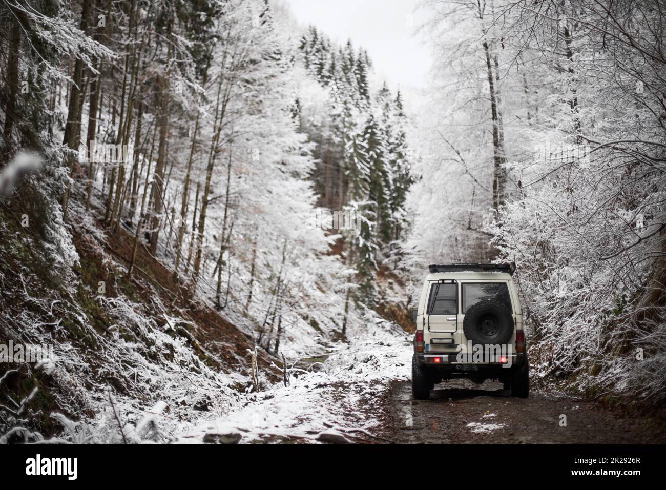 Voiture tout-terrain dans la forêt enneigée Banque D'Images