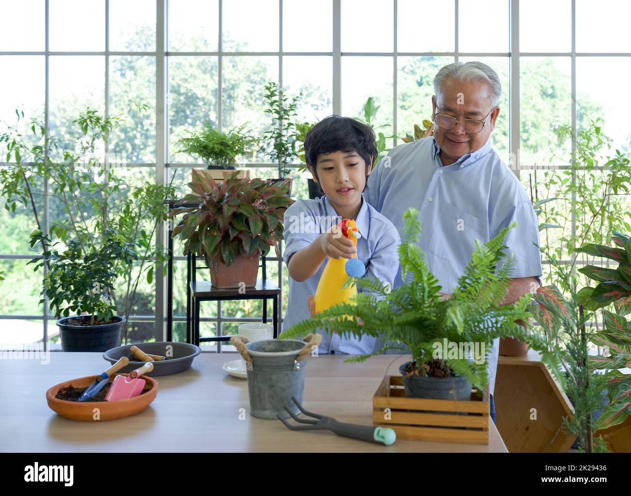 Le grand-père à la retraite a passé les vacances avec son petit-fils prenant soin du jardin intérieur. Banque D'Images