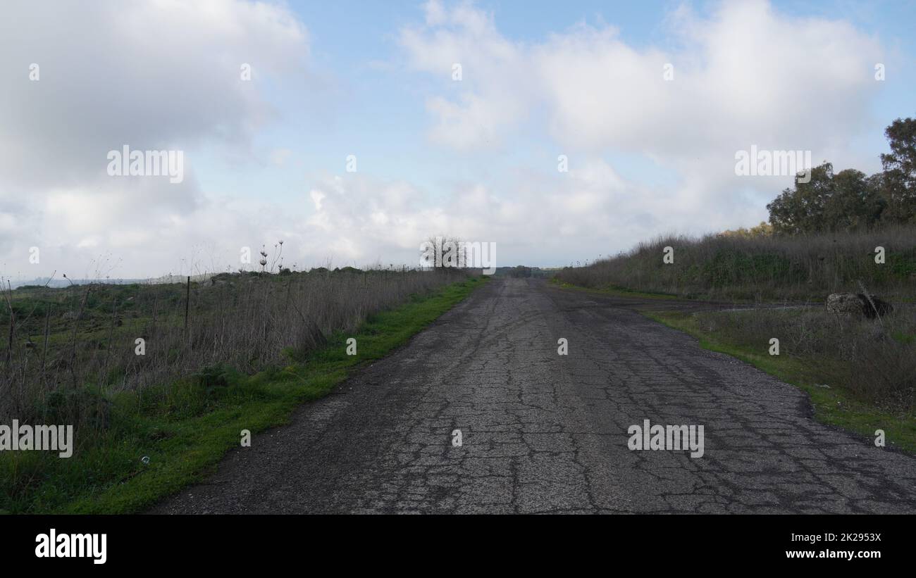 Vue d'une ancienne route asphaltée dans des fissures humides. Route usée présentant une texture craquelée. Banque D'Images