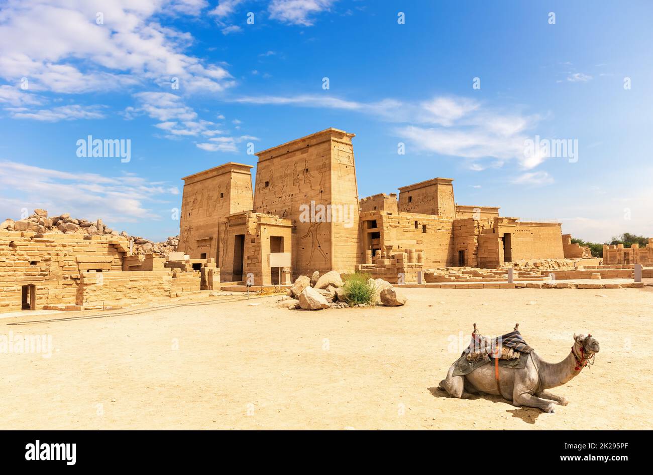 Temple de Philae et un chameau, belle journée ensoleillée, Assouan, Egypte Banque D'Images