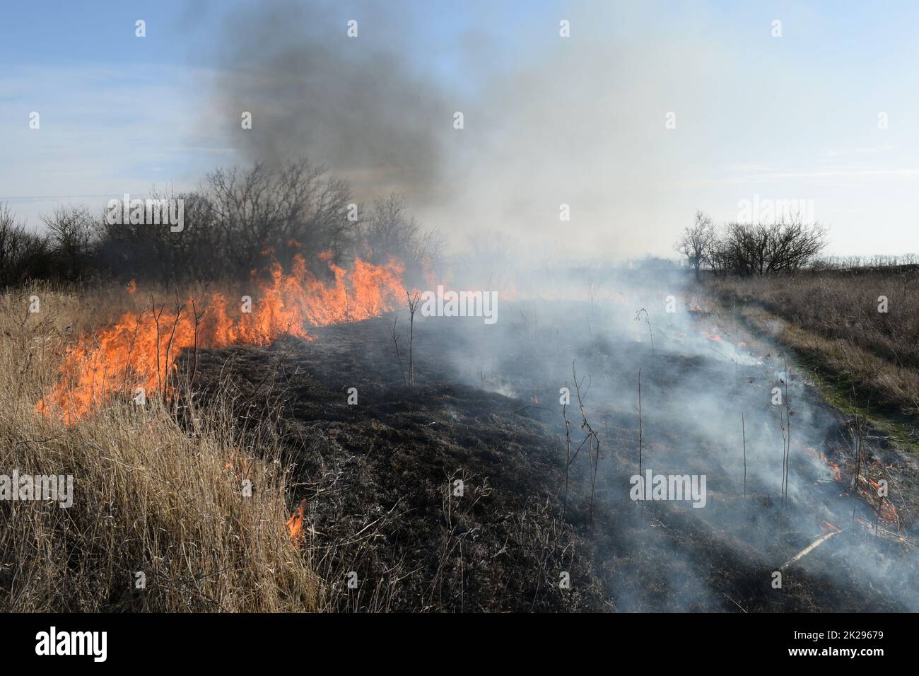 L'herbe sèche brûlante et les roseaux. Nettoyage des champs et des fossés des épaississements de l'herbe sèche Banque D'Images