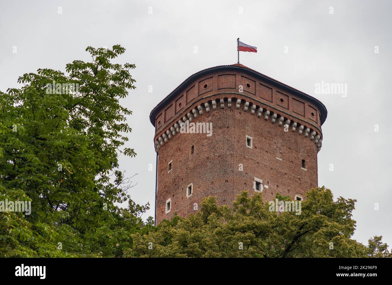 Le château de Wawel Banque D'Images