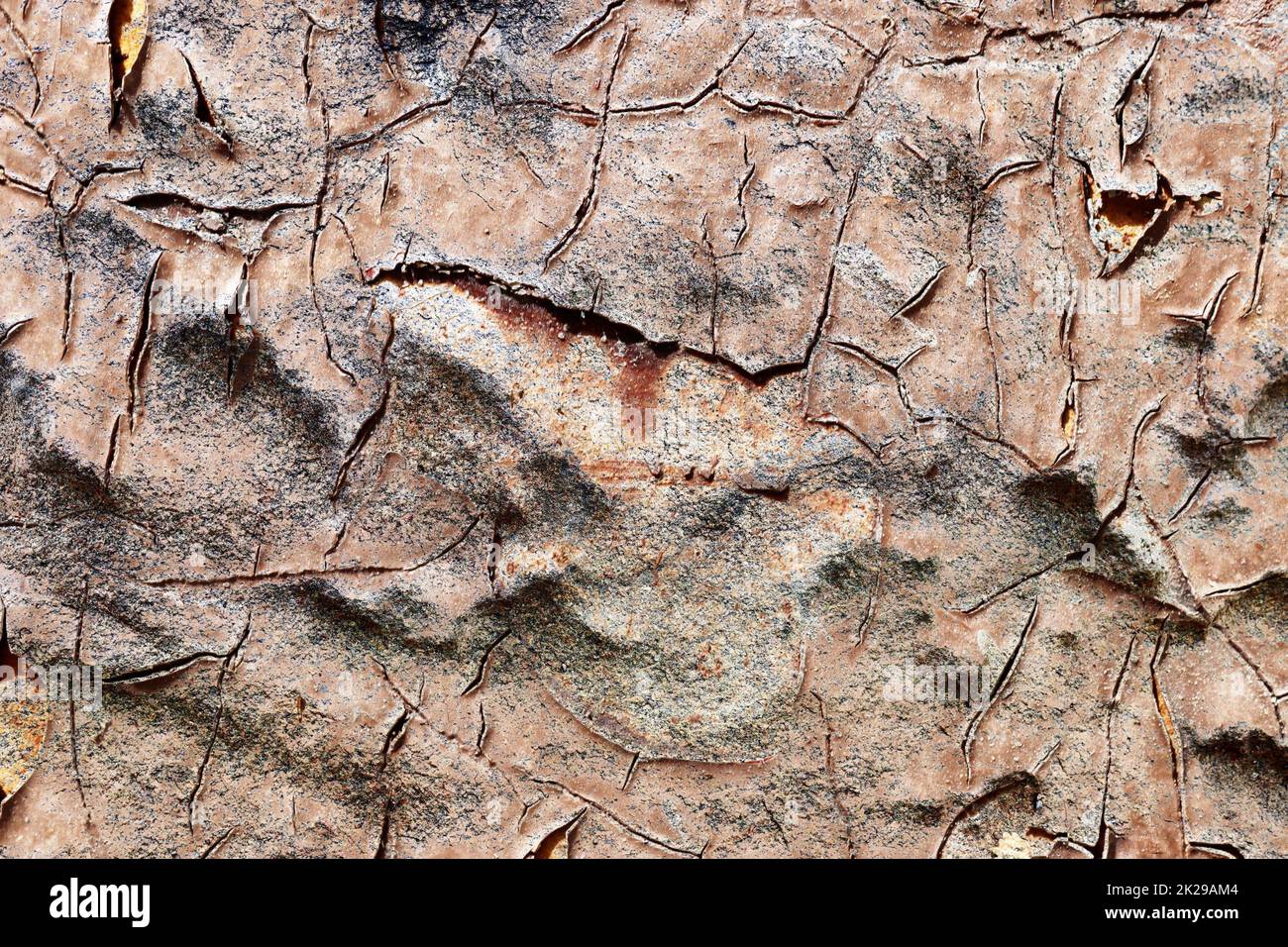 Vue détaillée en gros plan des murs en béton vieillis et abîmés avec des fissures et de la peinture Banque D'Images