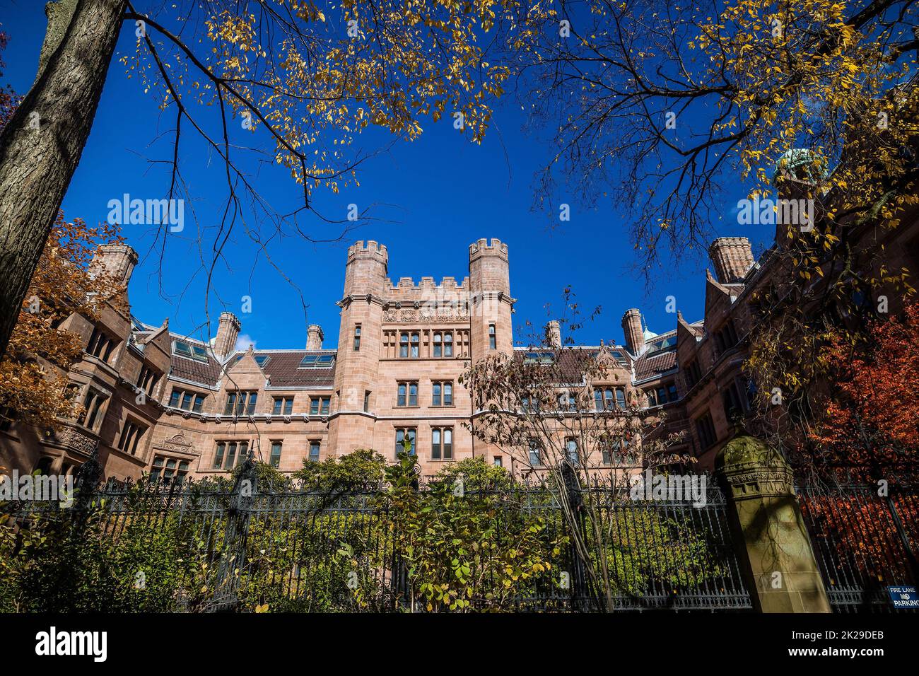 Les bâtiments de l'université de Yale à New Haven, CT USA Banque D'Images