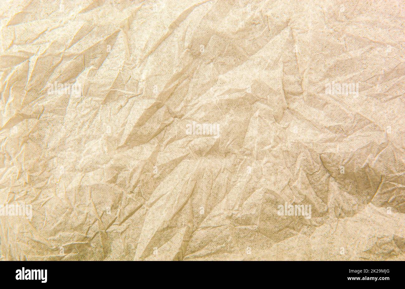 Texture du papier froissé Banque D'Images