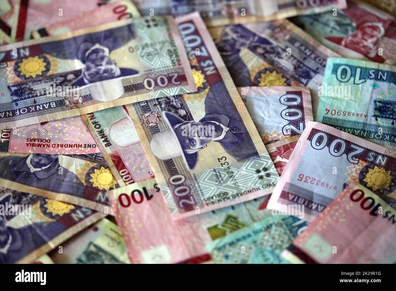 Pile de différents billets en dollars namibiens Banque D'Images