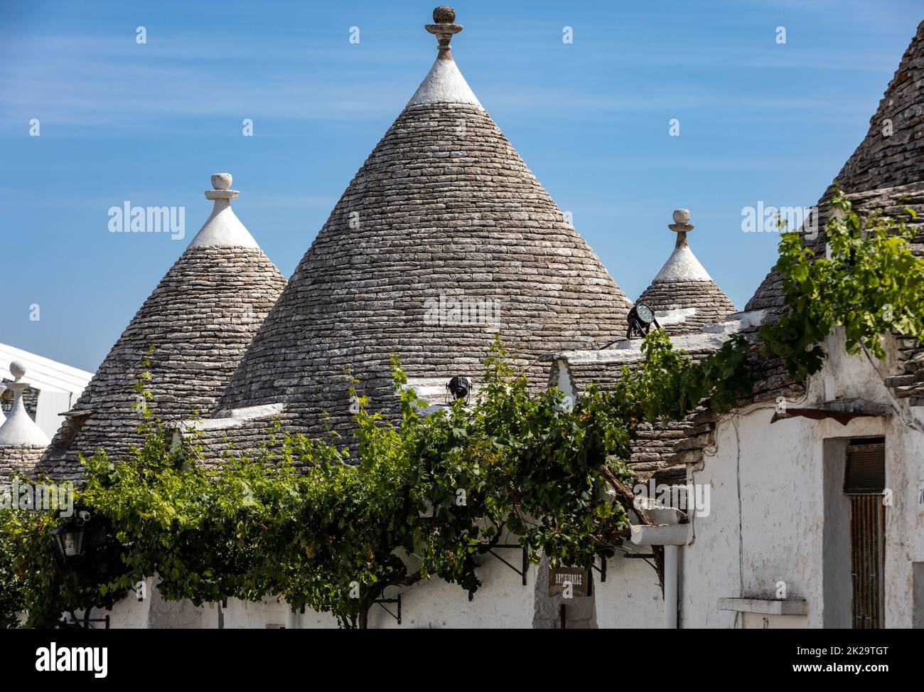 Vignes sur le toit en pierre de la maison Trulli à Alberobello, Italie. Banque D'Images