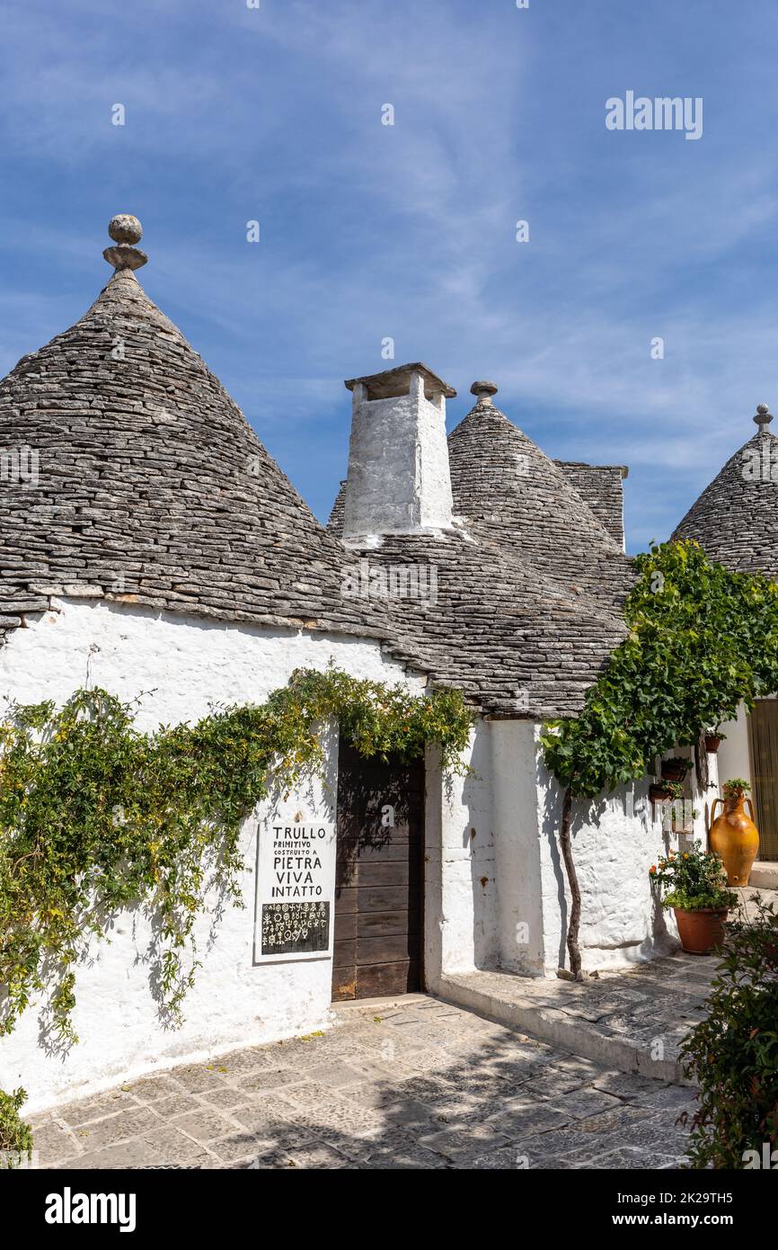 Maisons blanches traditionnelles dans le village de Trulli. Alberobello, Italie. Banque D'Images