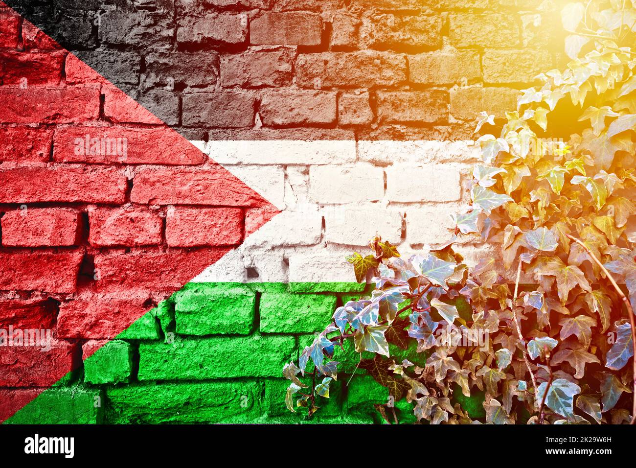 La Palestine grunge le drapeau sur le mur de brique avec la plante ivy soleil brume vue Banque D'Images