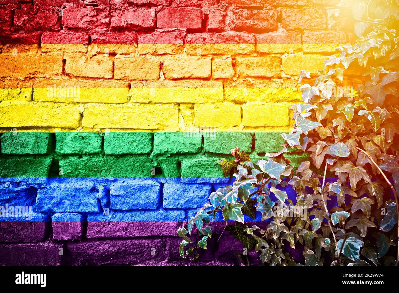 LGBTQ+ fierté arc-en-ciel drapeau grunge sur mur de brique avec la verge de soleil de plante lierre vue Banque D'Images