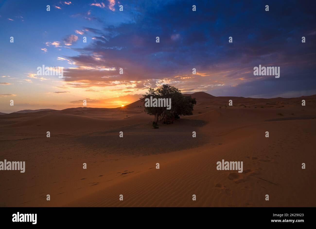 Coucher de soleil coloré à Erg Chebbi, une dune de sable à proximité de Merzouga, Maroc Banque D'Images