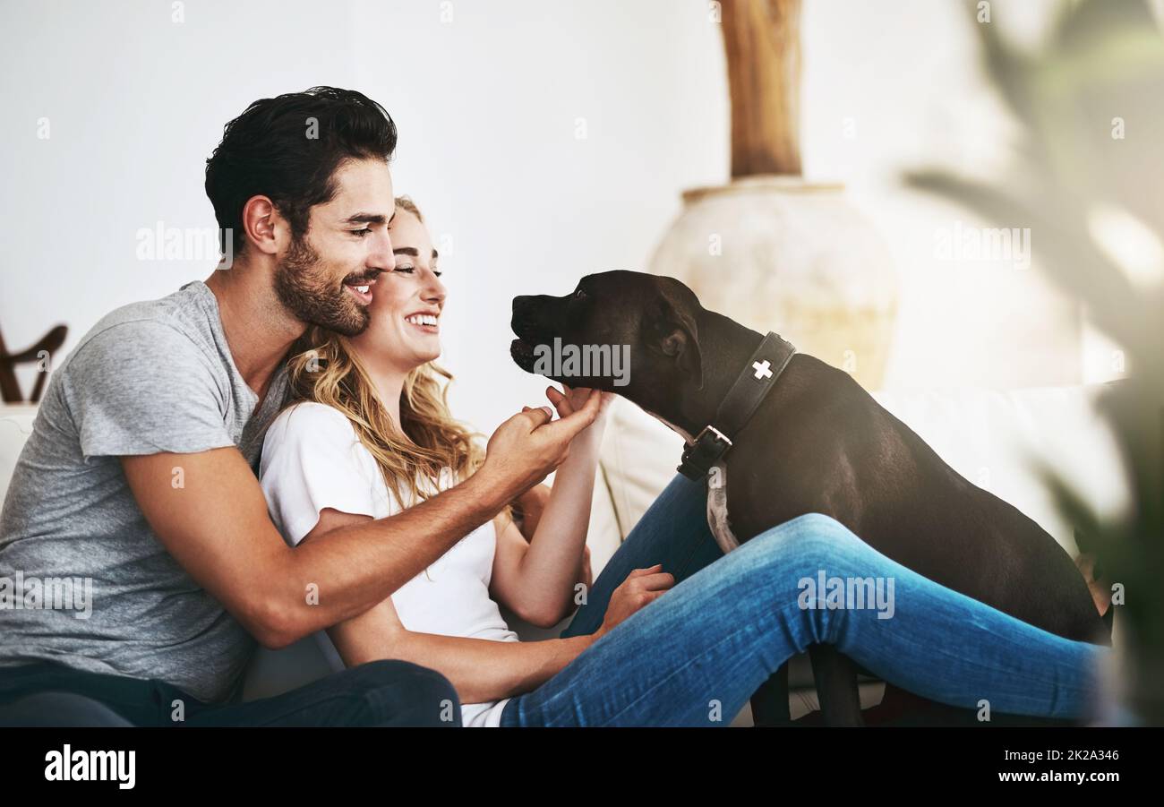 Il apporte la joie et le rire dans nos vies. Photo d'un couple et de leur animal de compagnie se détendant à la maison. Banque D'Images