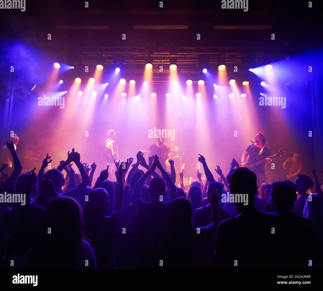 Profitez de chaque morceau lu par le groupe. Prise de vue d'une grande foule lors d'un concert de musique. Banque D'Images