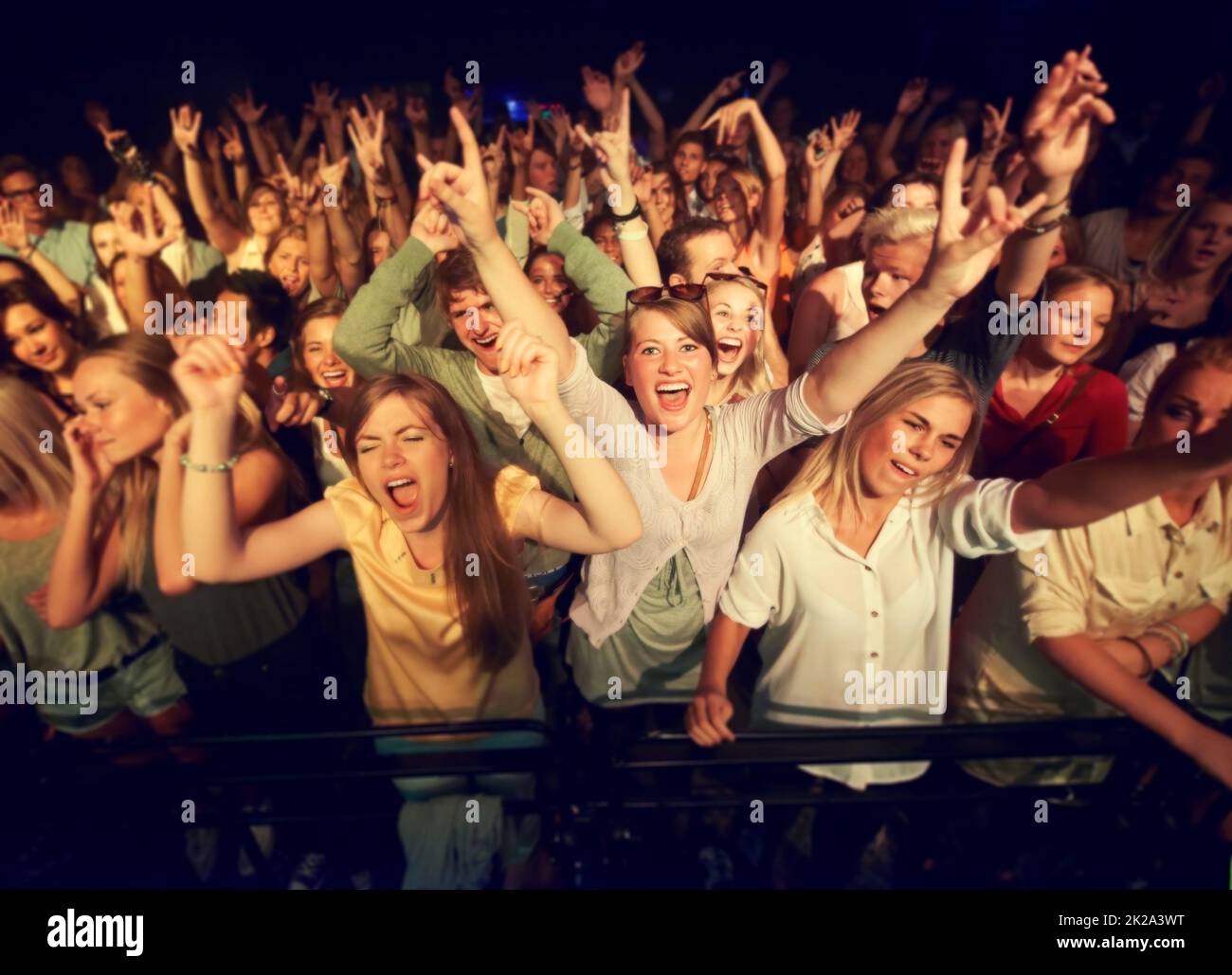 Le meilleur sentiment. Photo rognée d'une foule lors d'un festival de musique. Banque D'Images