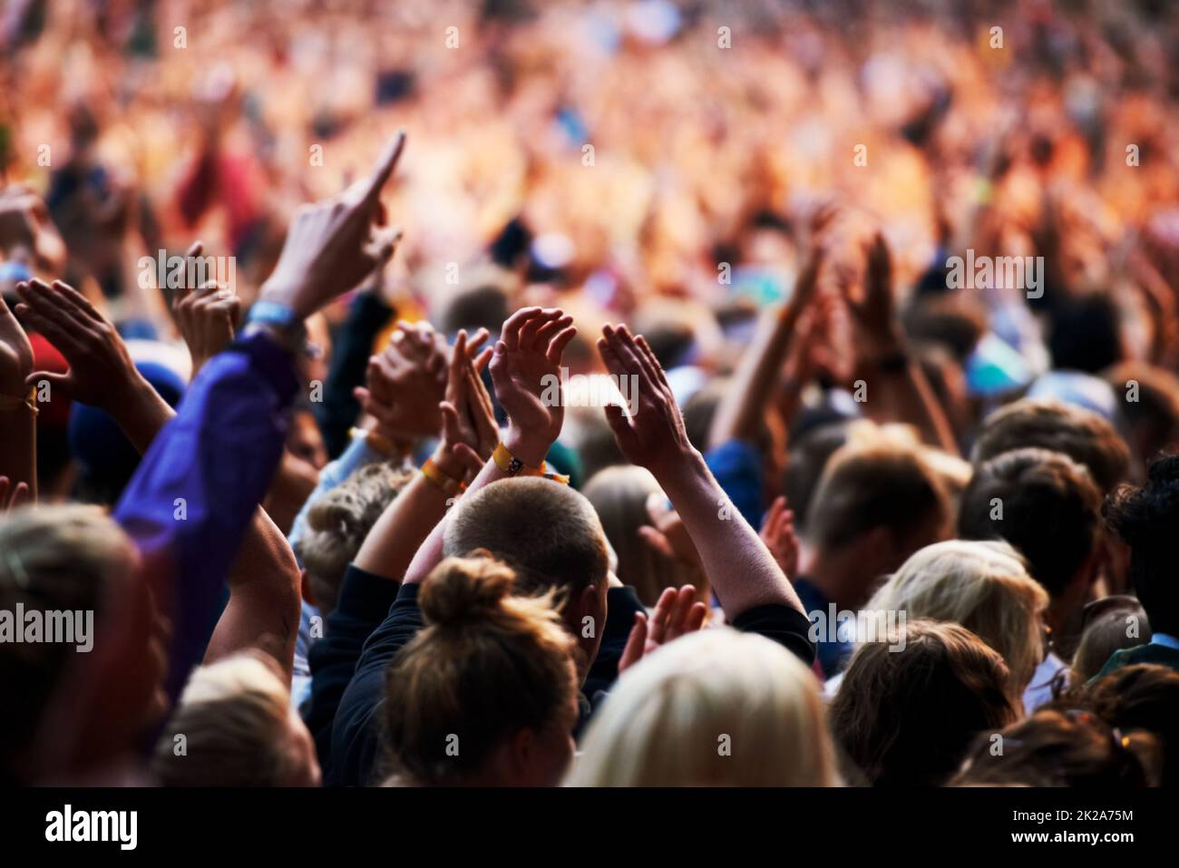 Les foules apprécient l'atmosphère. Photo d'une foule de jeunes lors d'un festival de musique en plein air. Banque D'Images