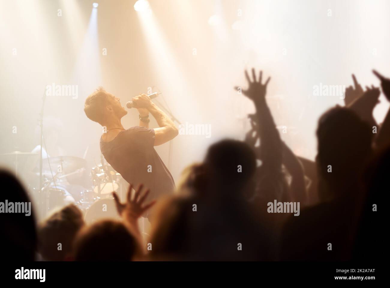 Mouvement de va-et-vient Une rock star chante dans son micro tandis que le fan lui tend les mains. Banque D'Images