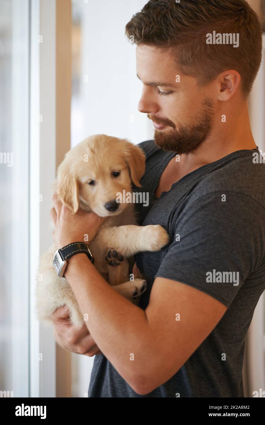 Ne vous inquiétez pas, vous êtes en sécurité. Prise de vue d'un jeune homme tenant un chiot. Banque D'Images