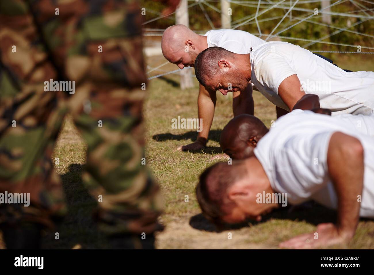 Tu dois faire passer la douleur. Photo d'un groupe d'hommes qui font des push-up dans un camp militaire de bootlecamp. Banque D'Images