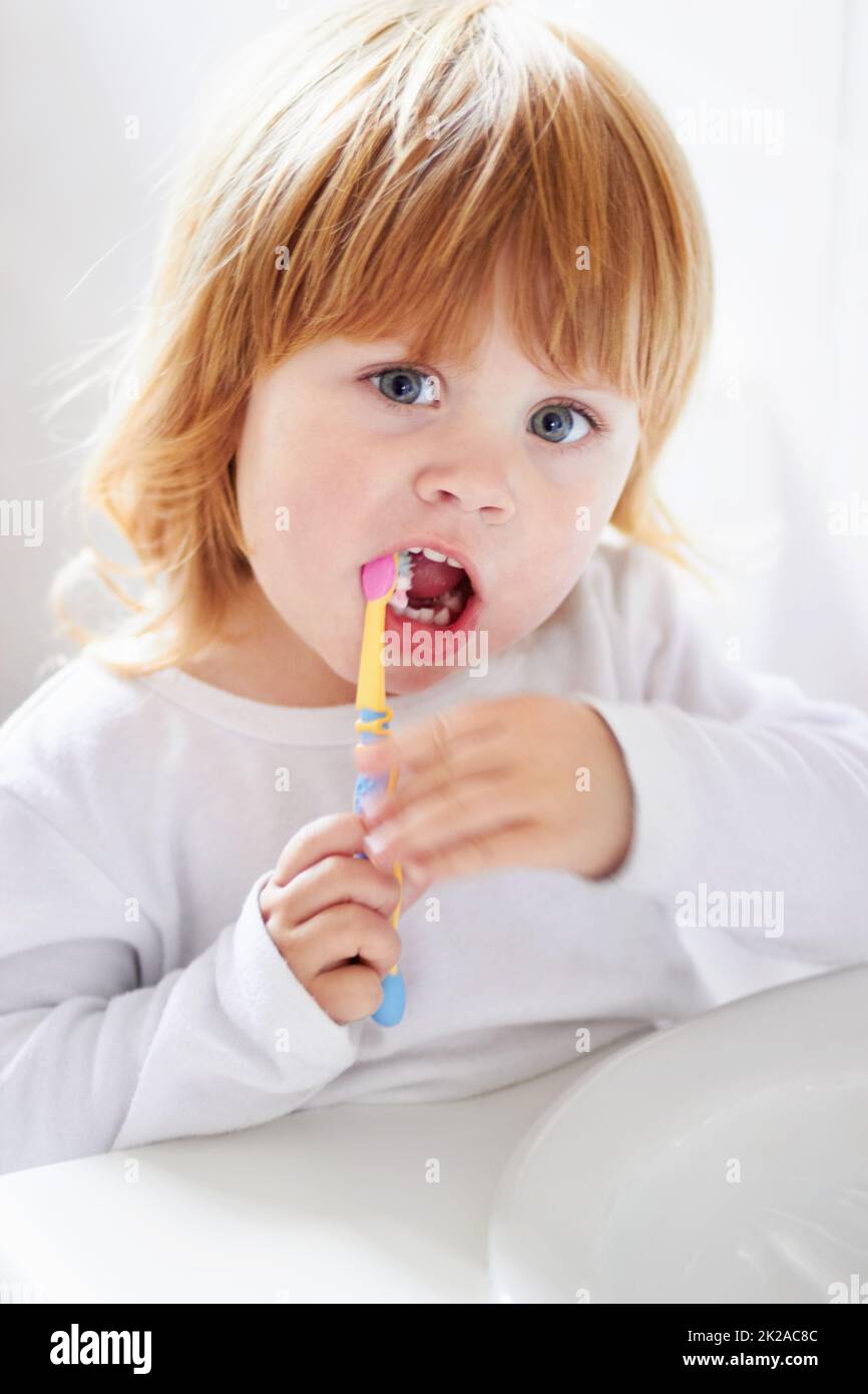 Hygiène dentaire à un jeune âge. Portrait d'un bébé mignon se brossant les dents. Banque D'Images