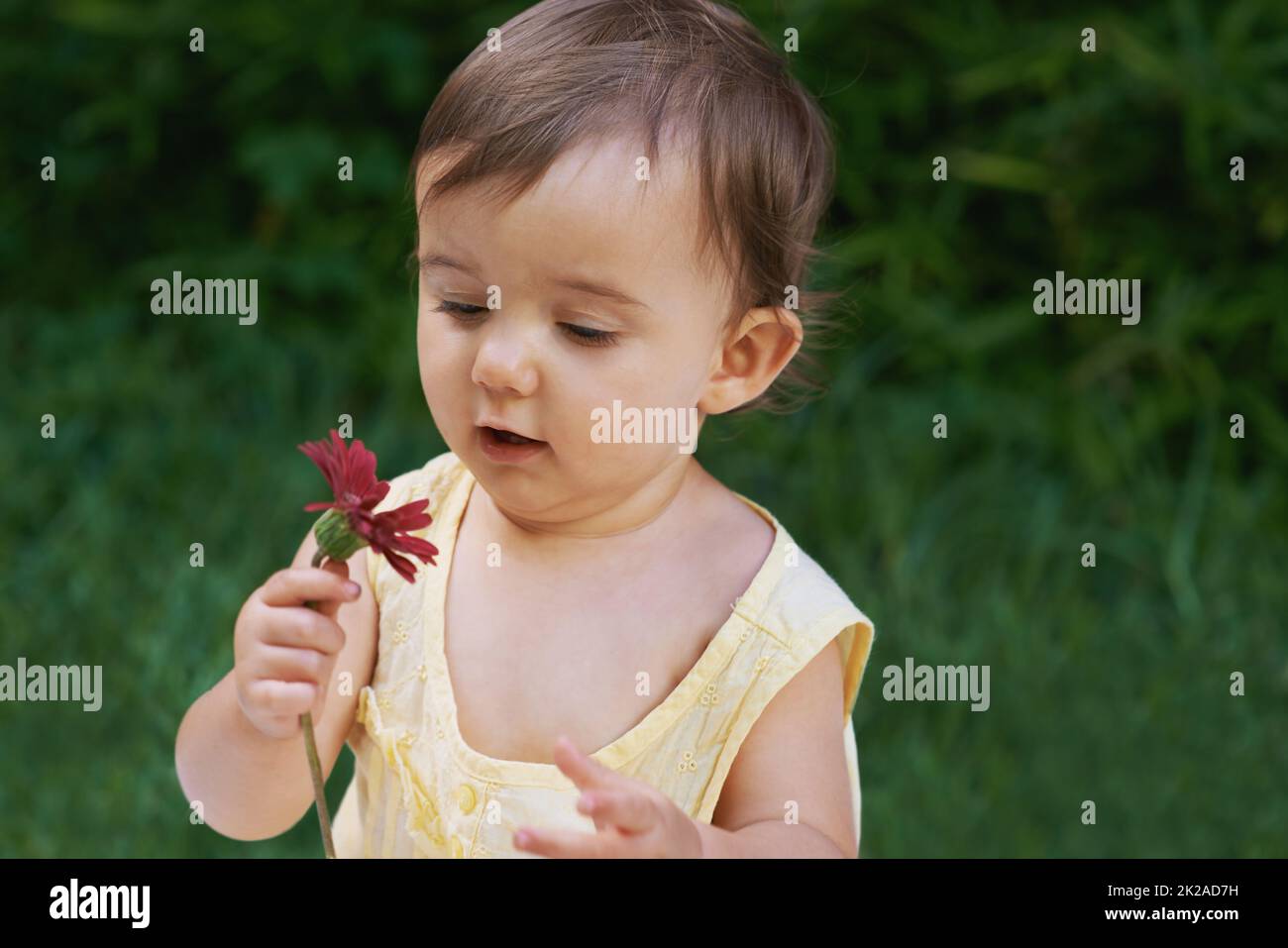 Curieux de la nature. Une petite fille douce regardant une fleur. Banque D'Images