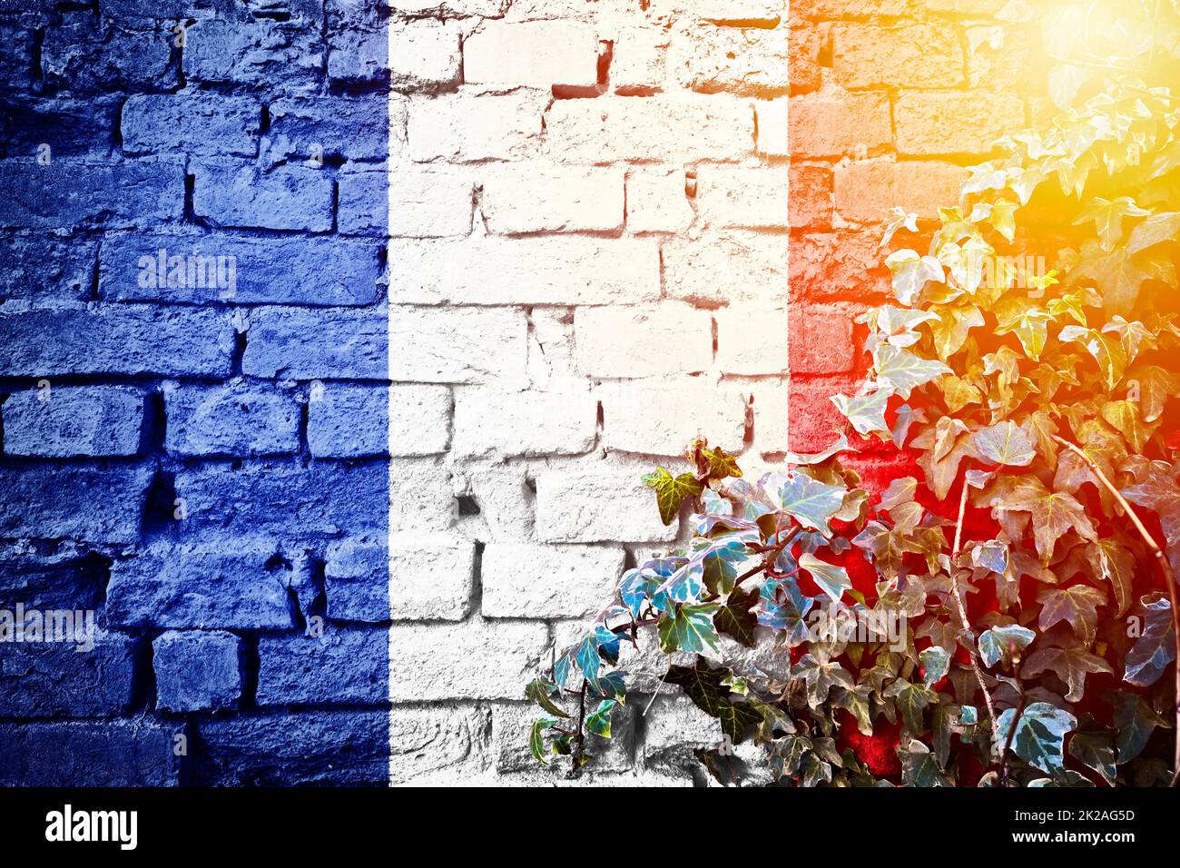 Drapeau National de la France Lumineux Mur de Briques Photographie Toi –