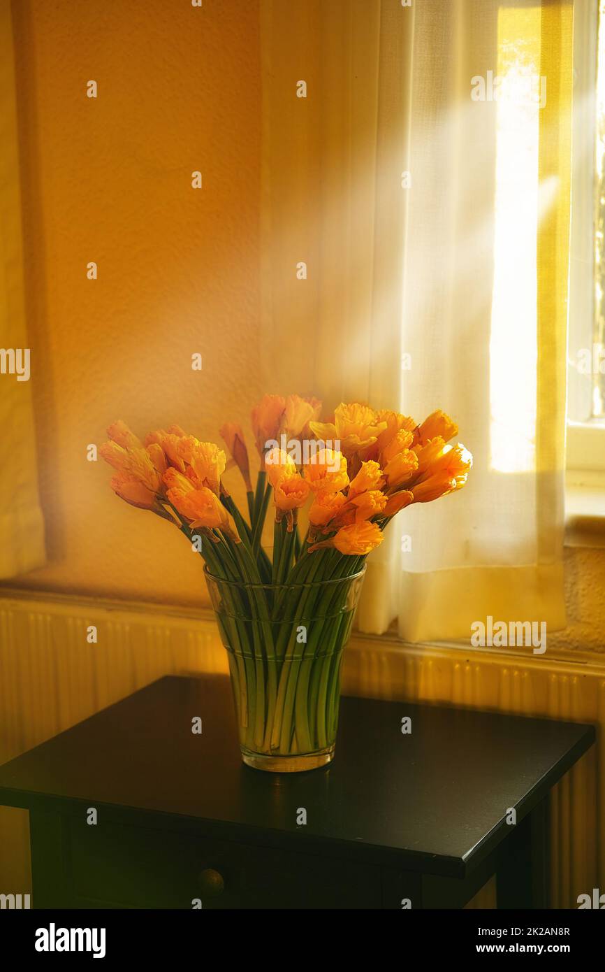 Tulipes ensoleillées sur le côté. Arrangement de tulipe debout sur un side devant une fenêtre. Banque D'Images