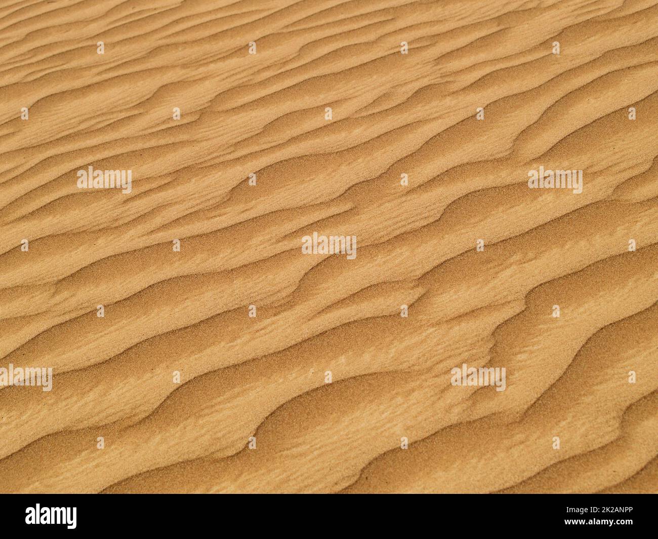 Sable du désert. Image rognée de sable désertique à texture ondulée. Banque D'Images