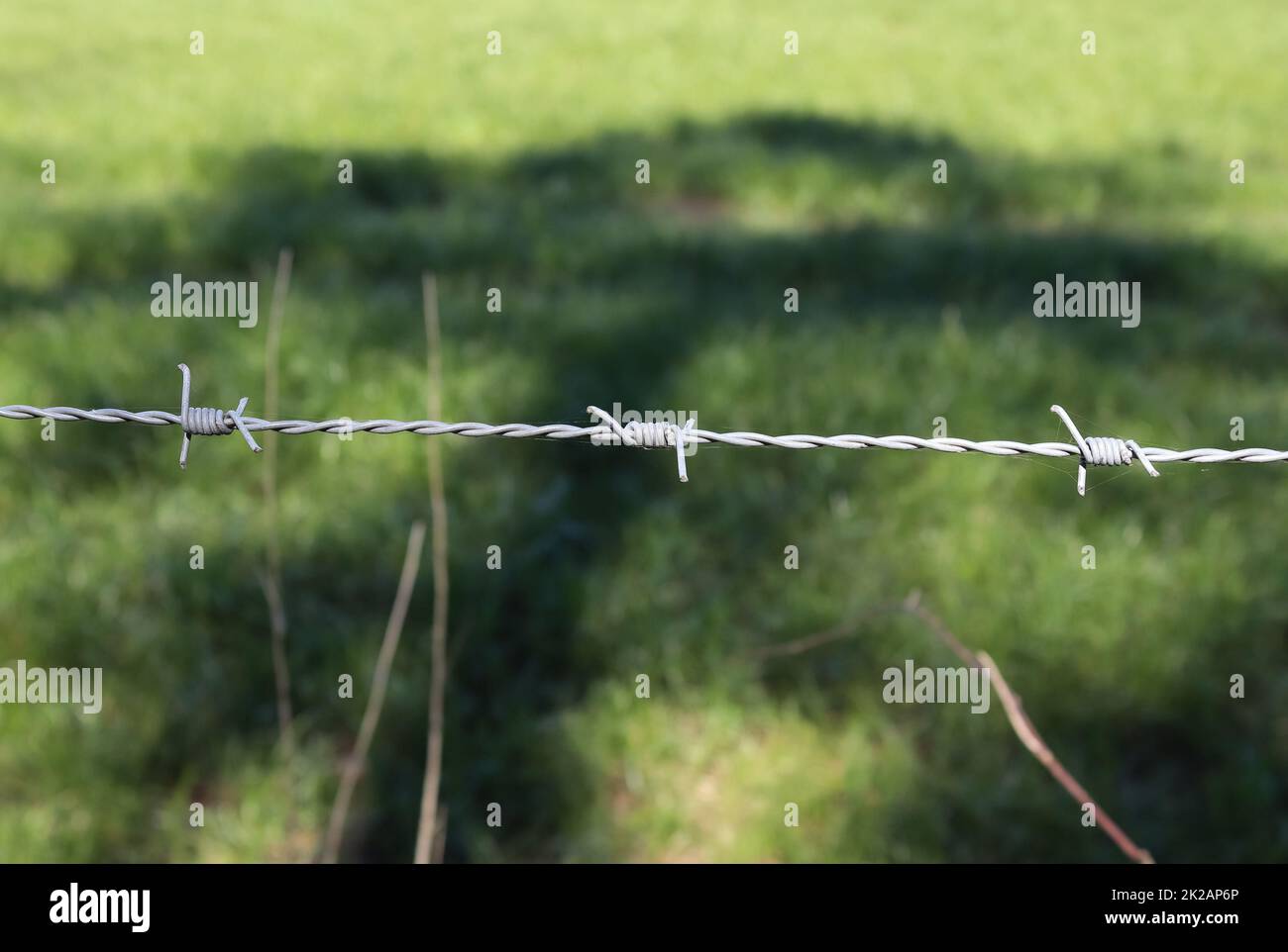Fil barbelé avec un flou de mise au point en arrière-plan. Banque D'Images