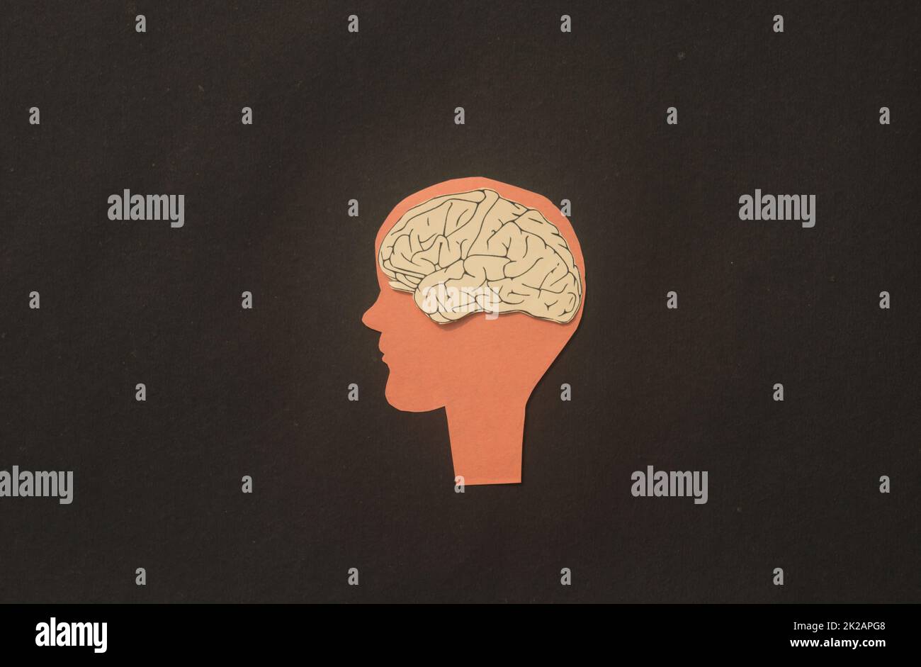 Papier cerveau humain dans une illustration de tête de silhouette. Idée de pensée et esprit créatif. Banque D'Images