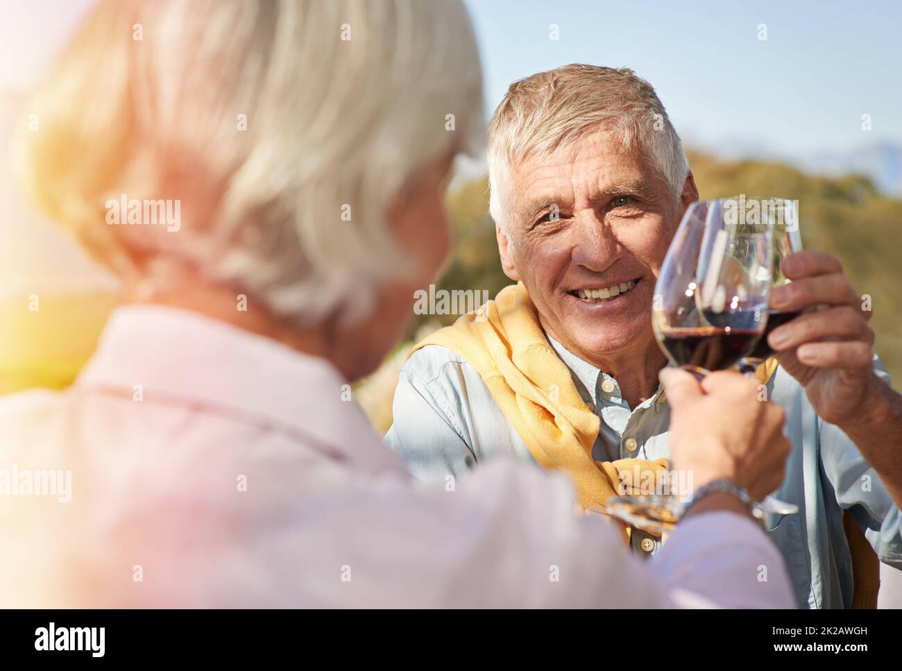 Célébrez la vie. Photo d'un heureux couple senior en cours de toasting avec leurs verres de vin. Banque D'Images
