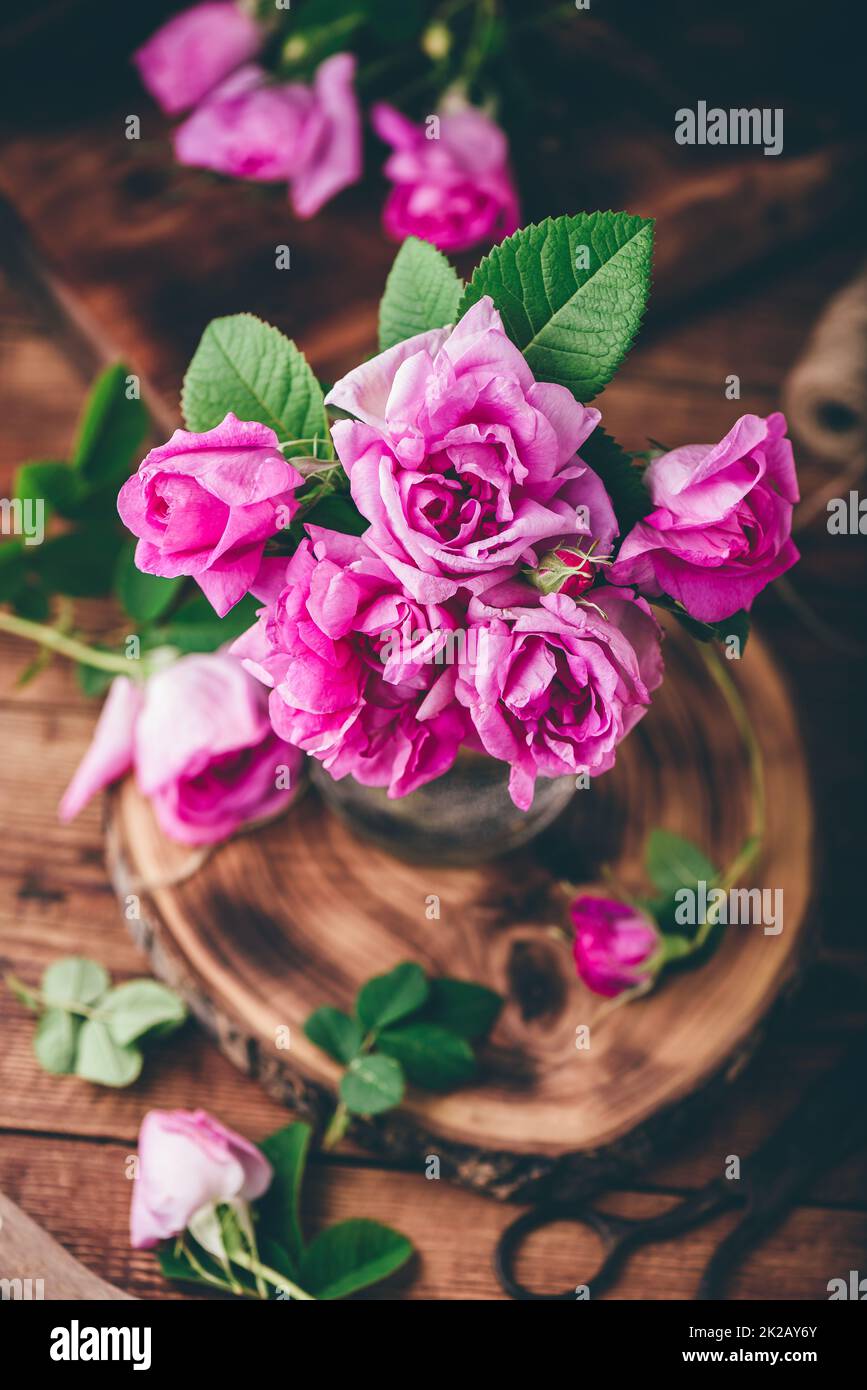 Bouquet de roses roses de jardin en pot Banque D'Images