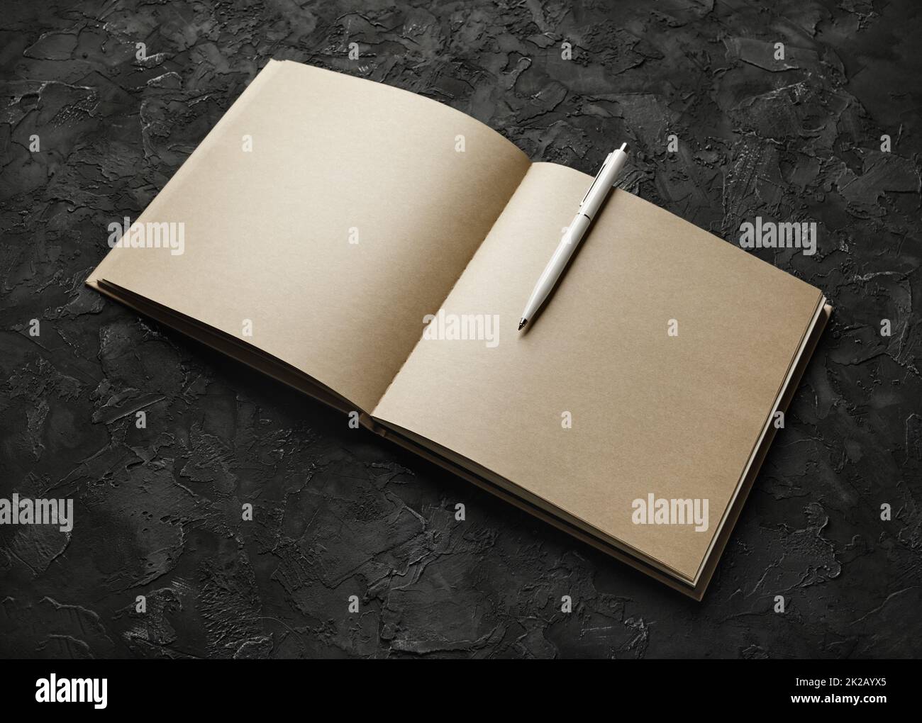 Carnet d'esquisses et stylo Banque D'Images