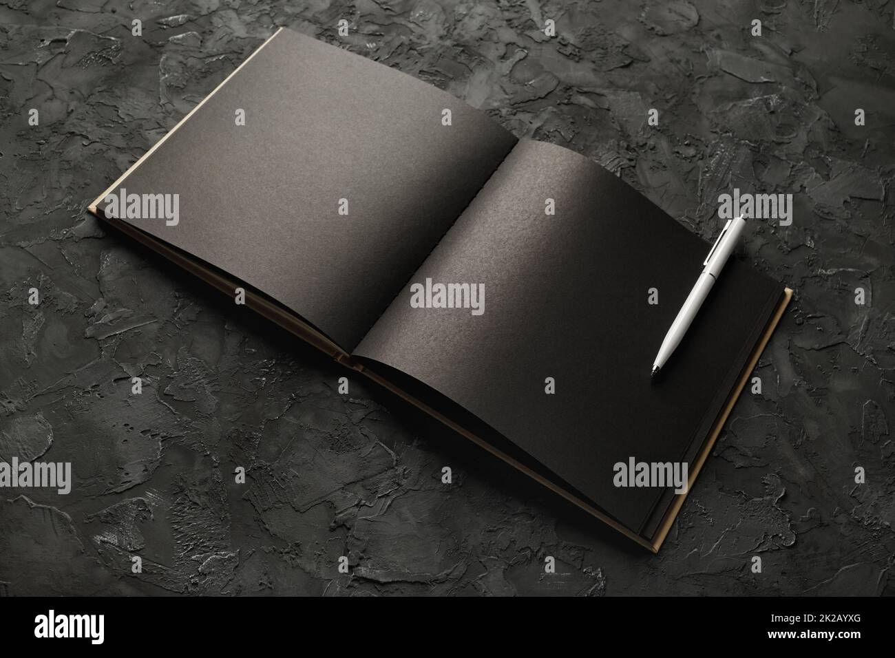 Livre noir, stylo Banque D'Images