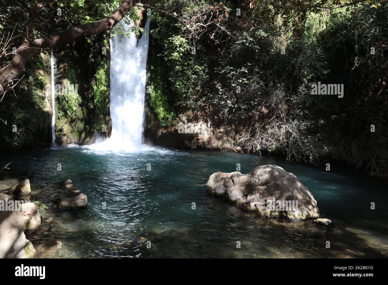 Cascade à la réserve naturelle de Banyas, en haute Galilée. Israël Banque D'Images