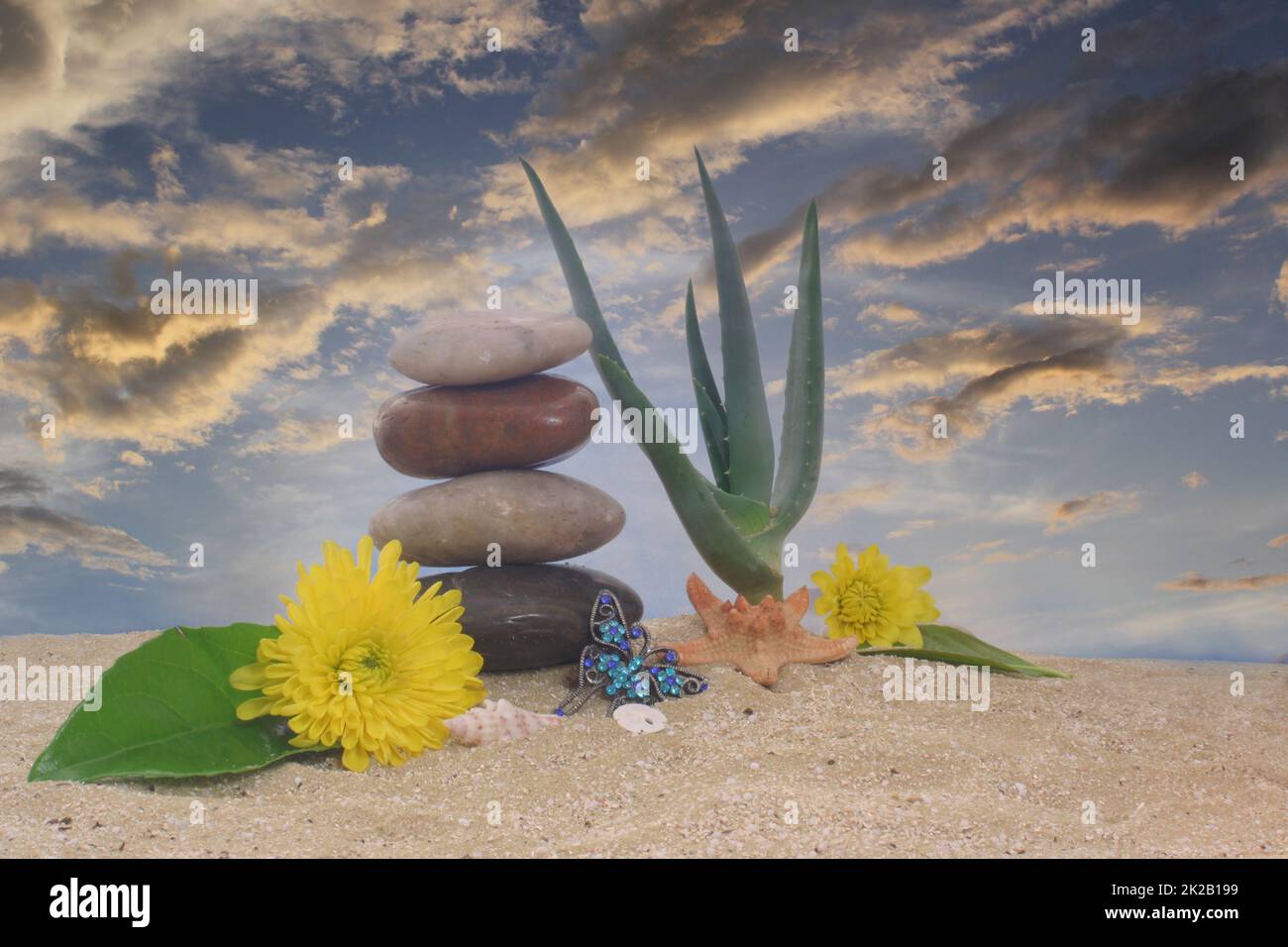 Plante de Vera d'aloès avec fleurs et coquillages de mer sur le sable Banque D'Images