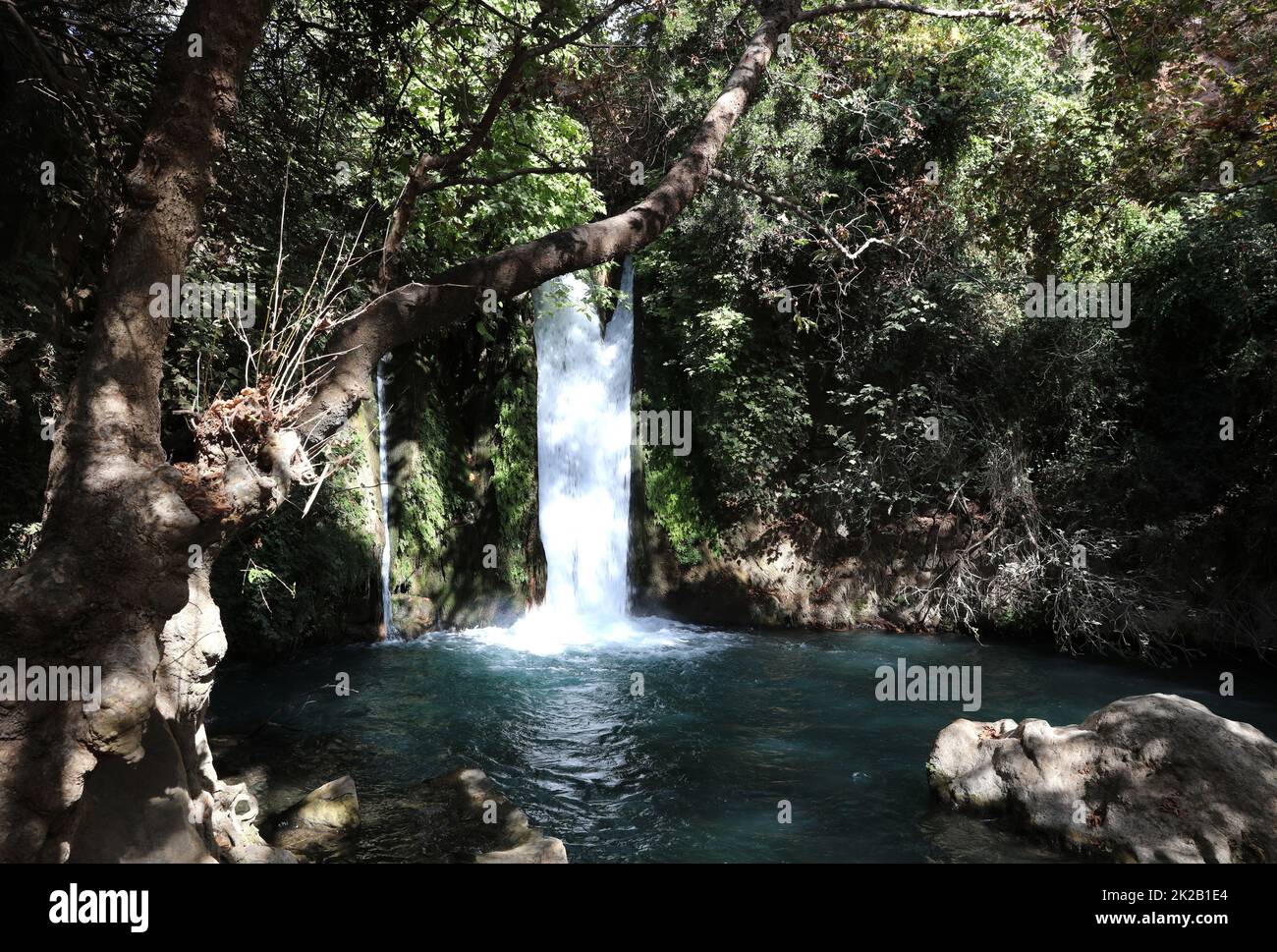 Cascade à la réserve naturelle de Banyas, en haute Galilée. Israël Banque D'Images