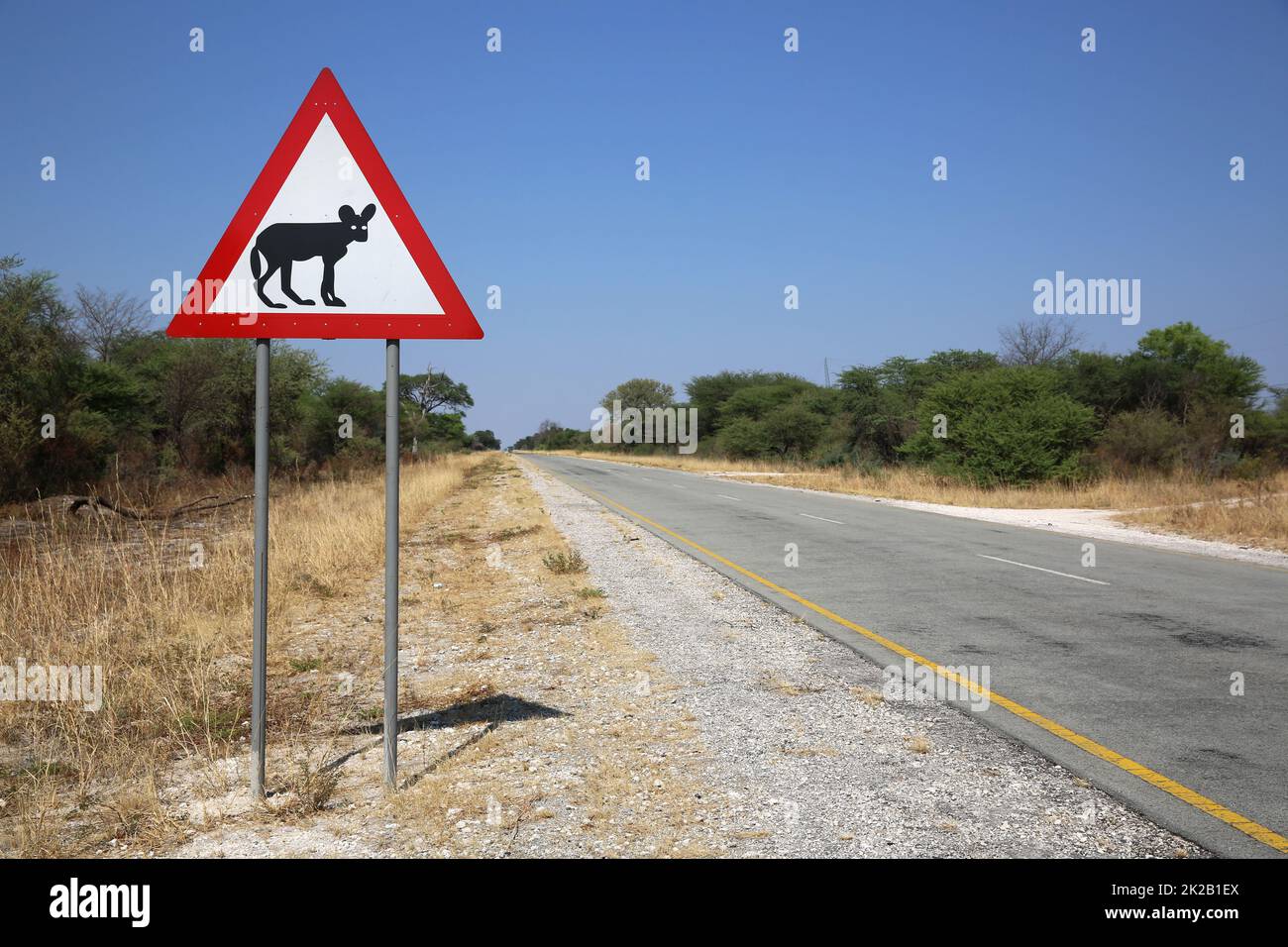 Avertissement de route en Namibie Banque D'Images