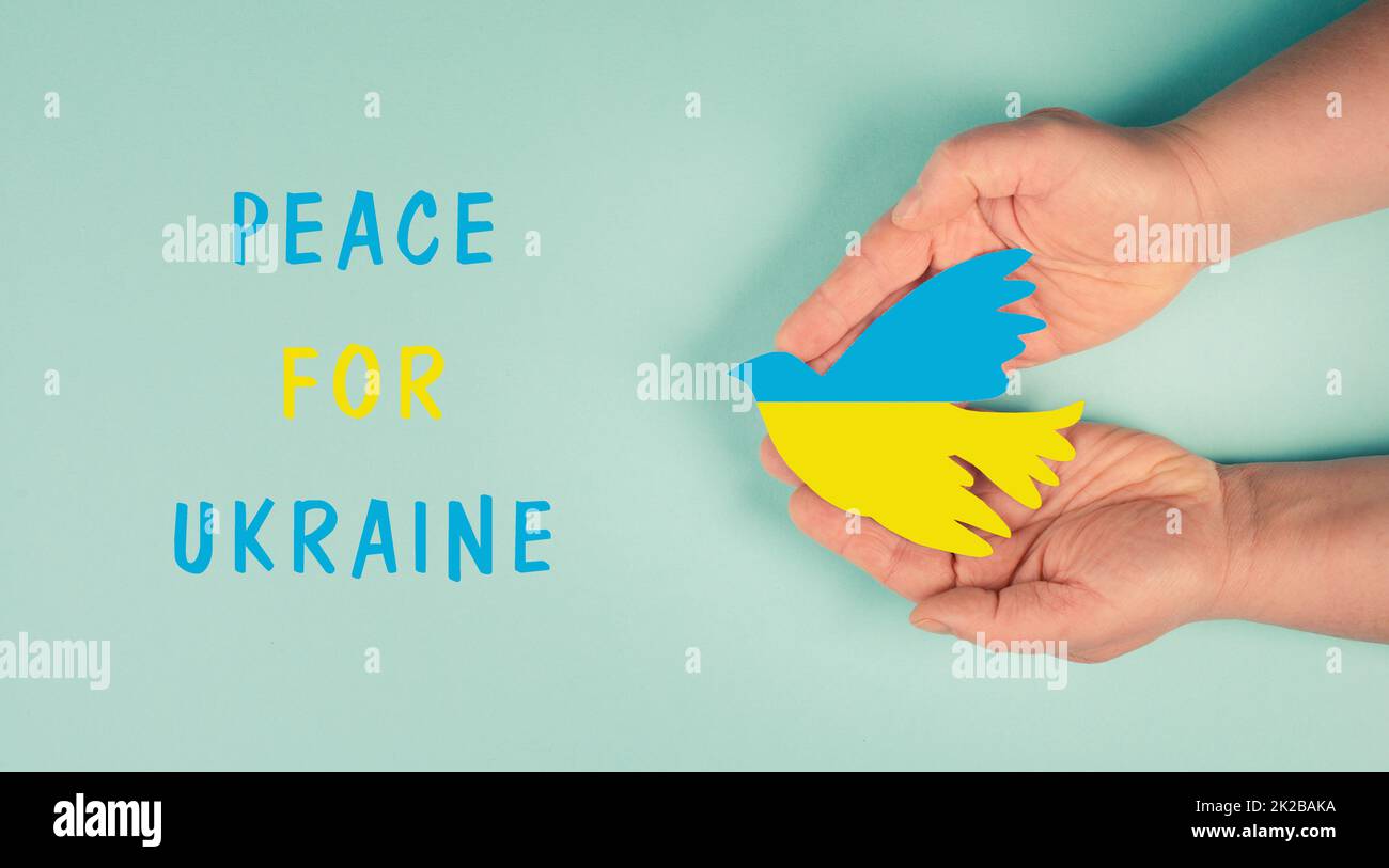 Mains tenant colombe dans les couleurs du drapeau ukrainien, la guerre avec la Russie, la paix pour l'Ukraine Banque D'Images