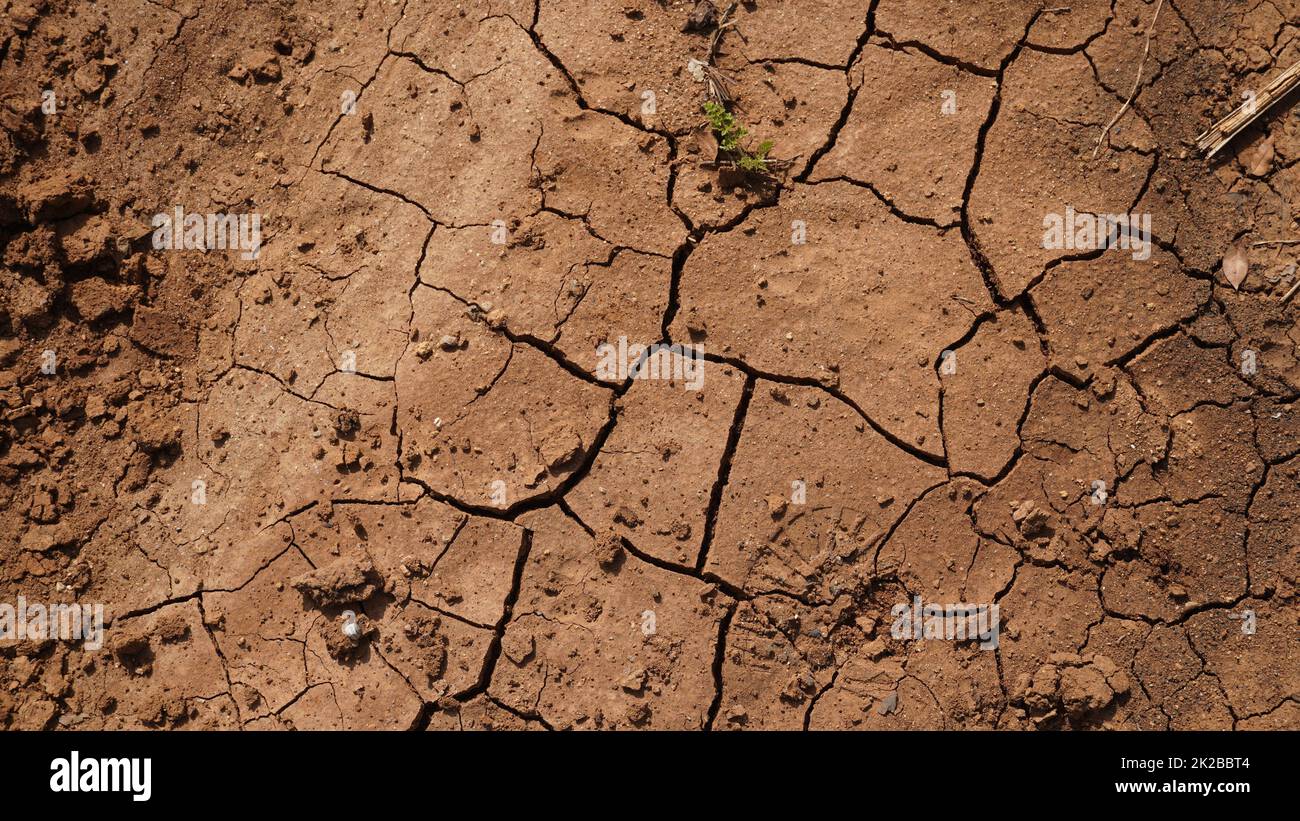 Changement climatique sécheresse. Problème de réchauffement de la planète, boue fissurée dans le fond d'une rivière Banque D'Images