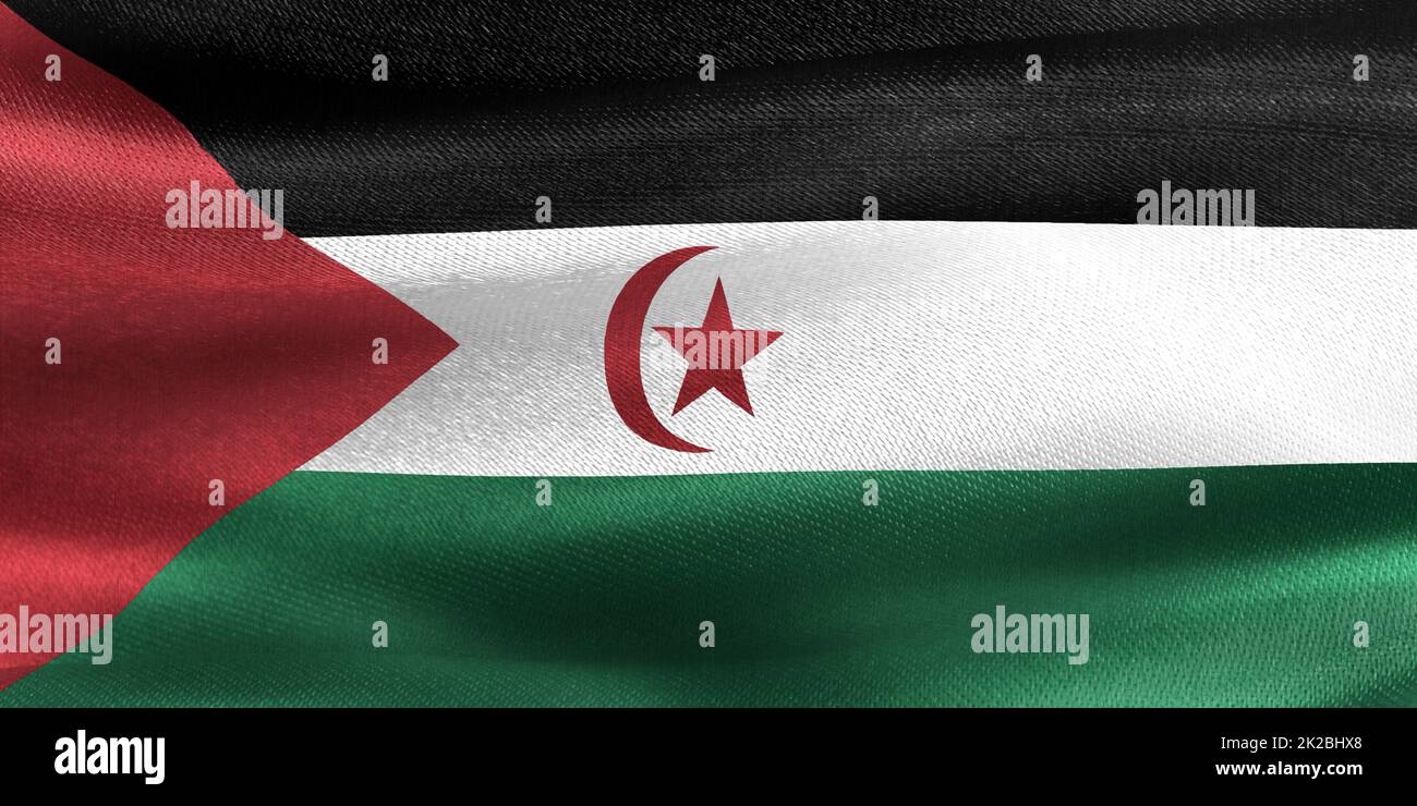 Drapeau du Sahara occidental - drapeau en tissu d'ondulation réaliste Banque D'Images