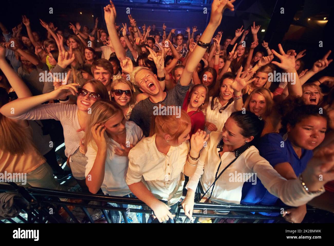 Bande-son de nos vies. Photo rognée d'une foule lors d'un festival de musique. Banque D'Images