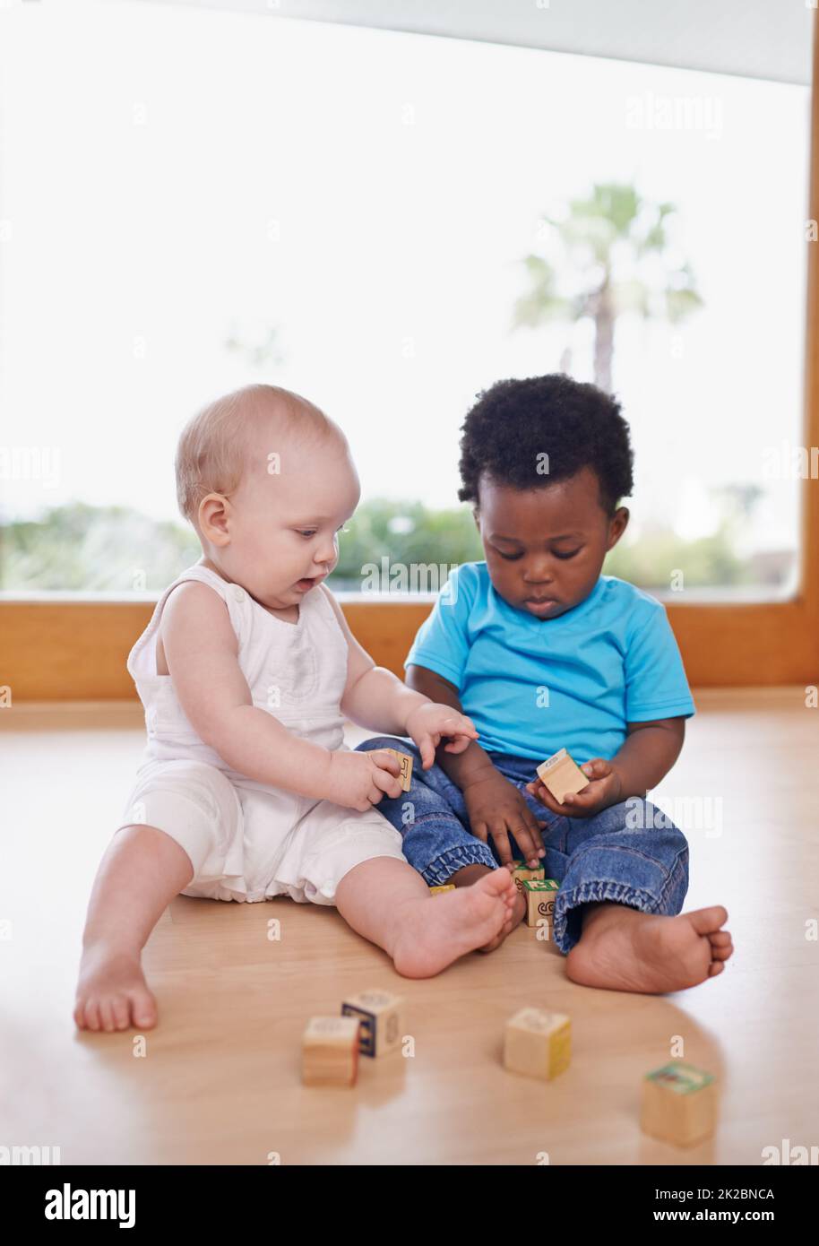 Apprendre et grandir ensemble. Une photo de deux adorables bébés jouant avec des blocs de construction. Banque D'Images