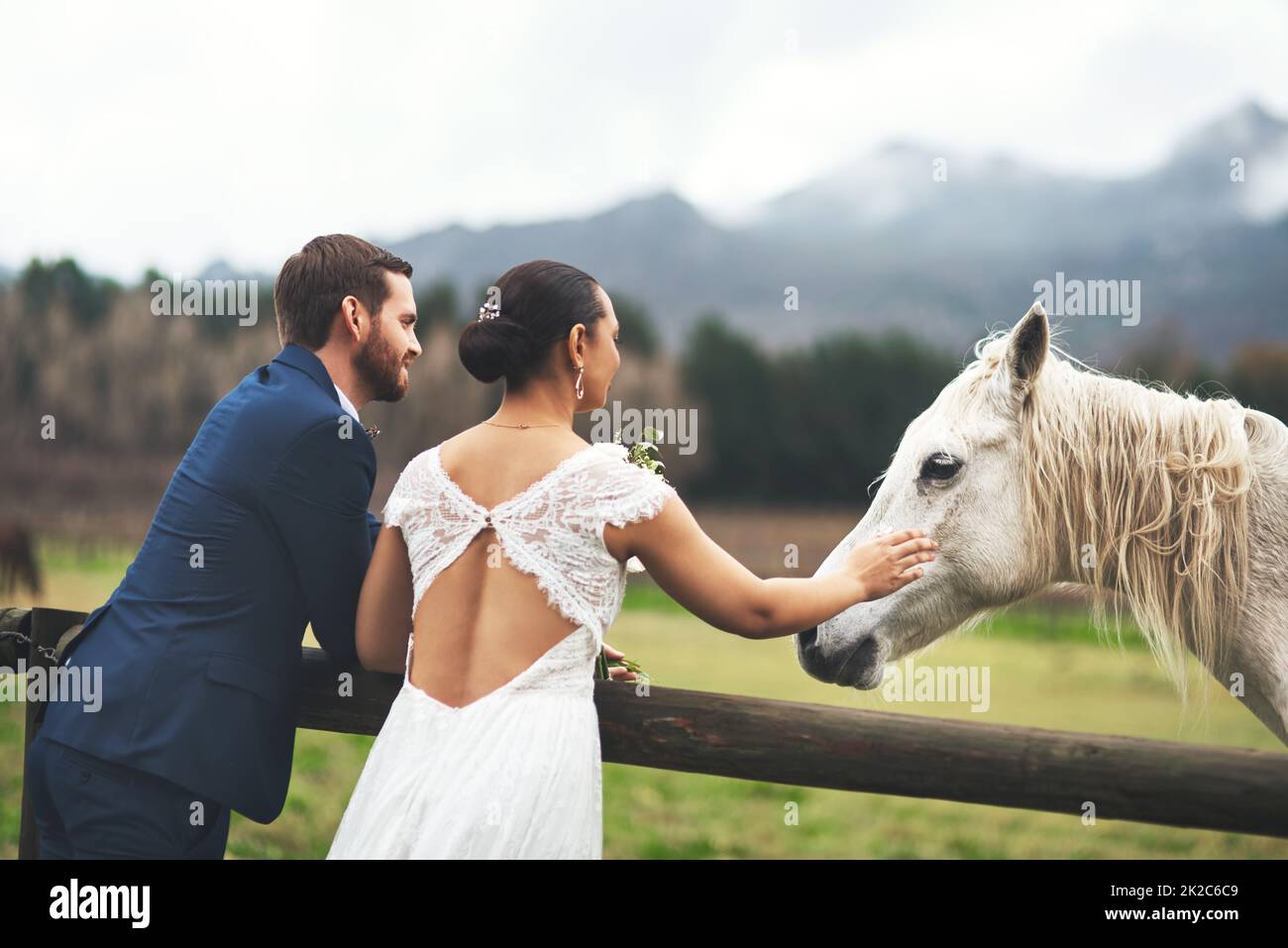 Laisse partir le coucher du soleil. Photo d'un jeune couple heureux et récemment mariés qui caressent un cheval à l'extérieur le jour de leur mariage. Banque D'Images