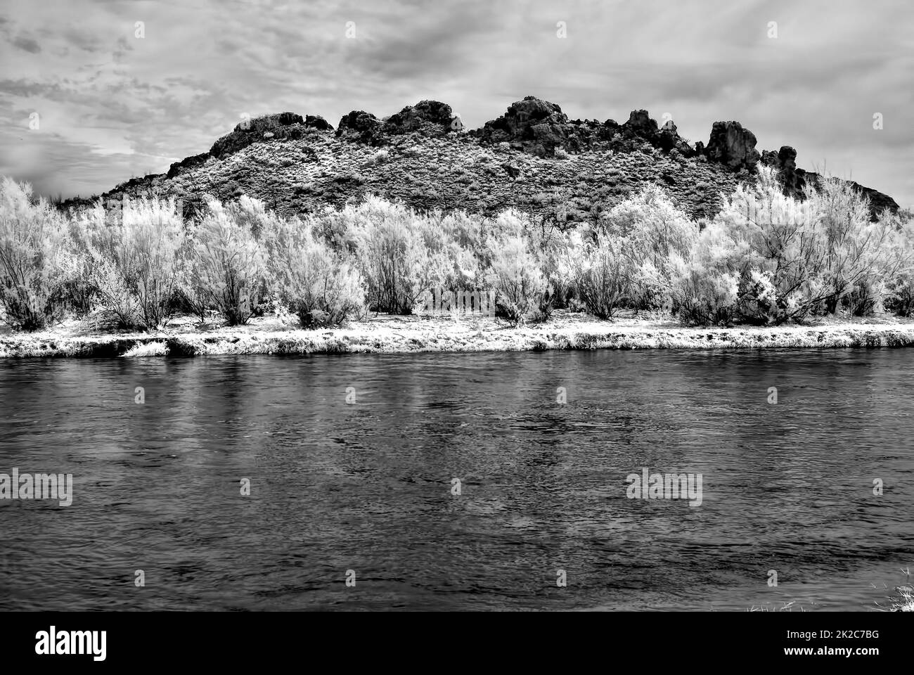 Salt River Arizona infrarouge Banque D'Images